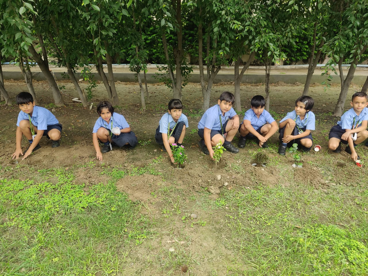 Tree Plantation Classes - 3 to 5